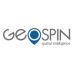 Geospin