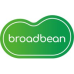 Broadbean