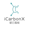 iCarbonX