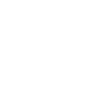 Turtle health