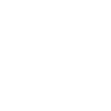 Shadow Labs