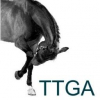 Troytown Greyabbey Equine Veterinary Services