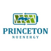 Princeton NuEnergy