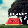 FieldCandy