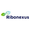 Ribonexus