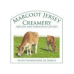 Marcoot Jersey Creamery