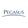 Grupo Pegasus