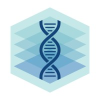 VoxCell BioInnovation