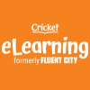 Fluent City