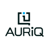 AuriQ Systems