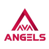 Angel To Venture Accelerator