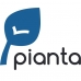 Pianta