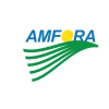 Amfora