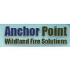 Anchor Point Group