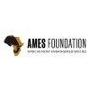 Ames Foundation