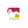 Pegaso Fondo Pensione Complementare