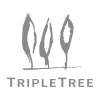 Triple Tree Capital Partners