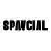 Spaycial