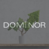 Dominor Holding