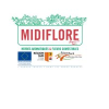 Midiflore
