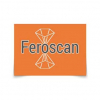 Feroscan