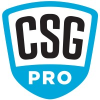 Csg Professional Services