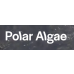 Polar Algae