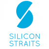 Silicon Straits