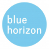 Blue Horizon Corporation