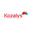 Kozalys