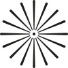 Singular Photonics