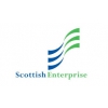 Scottish Enterprise Growth Investments
