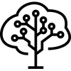 Brainforest