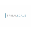 TribalScale Venture Studios