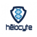 Helocyte