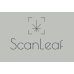 Scanleaf