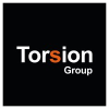 Torsion Group