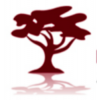 BAO Financial Group