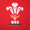 The Welsh Rugby Union