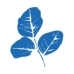 Rosewood Private Investments