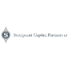 Steelpoint Capital Partners