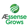 Aessense Holding