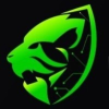 Jaguar Transit