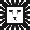 Lion Semiconductor