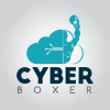 Cyber Boxer