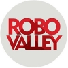 Robovalley Investment Fund