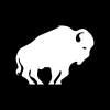 Bison Capital Asset Management