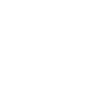 Ariaemiko