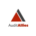 Audit Allies