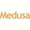 Medusabusiness